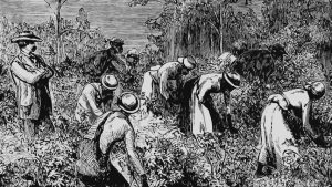 The Long Shadow (2018)