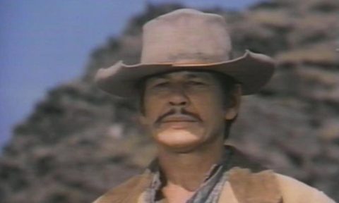 Chino (1973) (aka The Valdez Horses)