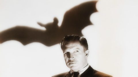 The Bat