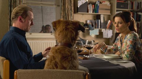 Absolutely Anything (2015) Absolutely Anything