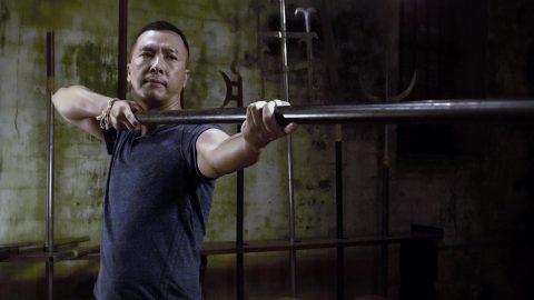Kung Fu Jungle (2014)
