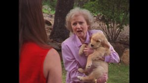 The Retrievers (2001)