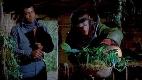 Battle for the Planet of the Apes (1973) Battle for the Planet of the Apes (1973)