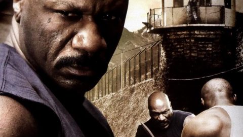 Animal 2 (2007)