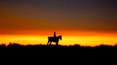 Reel Injun (2010)
