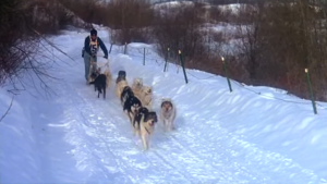 Spirit of the Wind (1979)