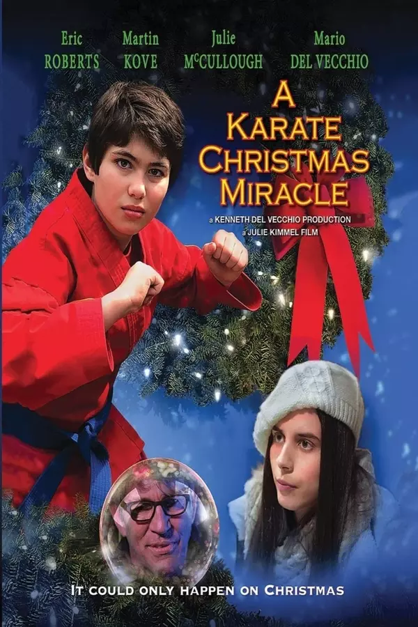 A Karate Christmas Miracle (2019) A Karate Christmas Miracle (2019)